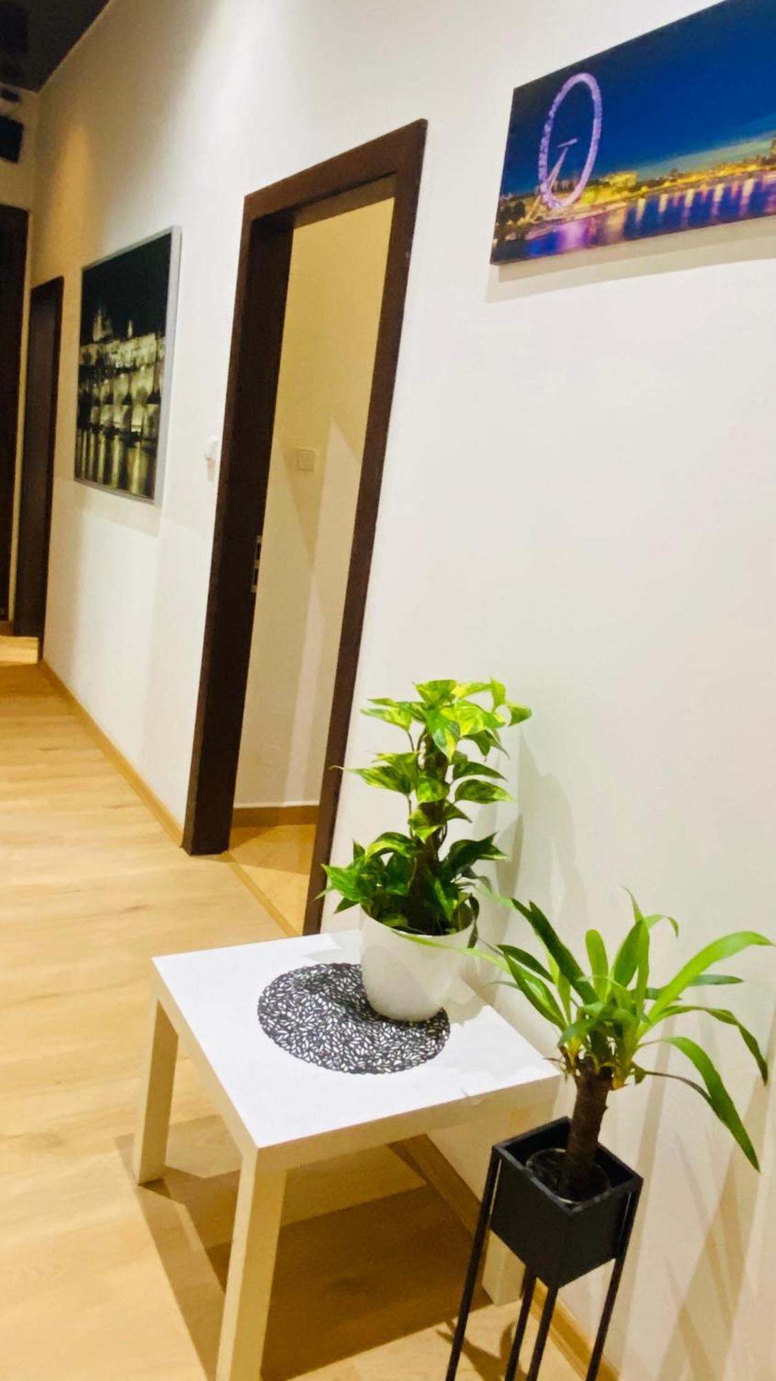 Hotel Apartment In Prague 2 Square エクステリア 写真